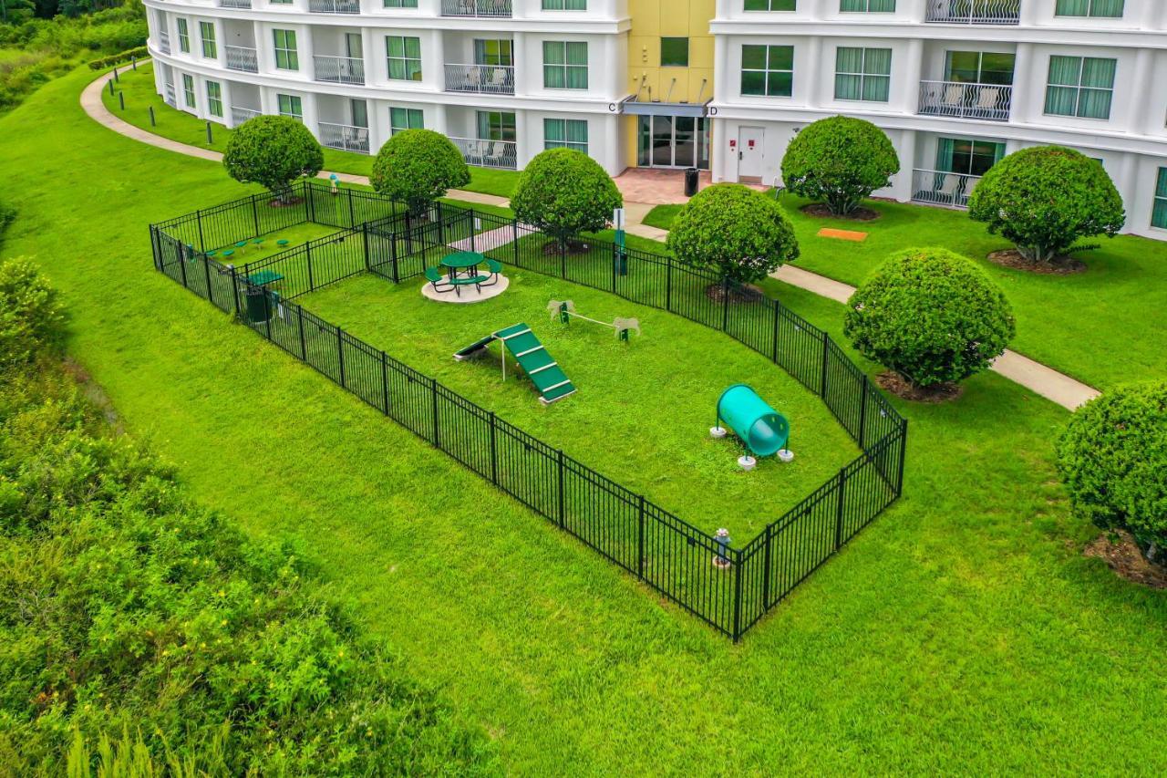 Pet Friendly In Orlando Area Near Disney Celebration Luaran gambar